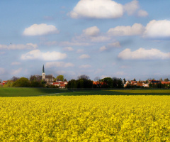 rapsfeld