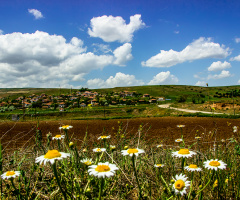 PAPATYA KÖYÜ