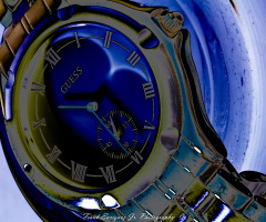 Macro'd Designer Watch