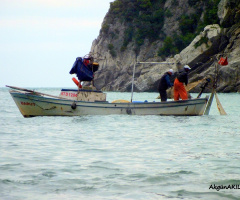 balıkcıiar