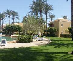 Egypt - Alain alsokhna