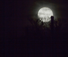 Sonoran Desert Full Moon Of 5/22/16