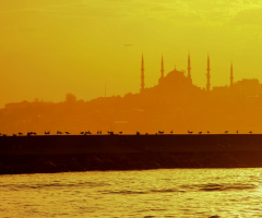 Kuşlar Cami Ve İstanbul Silüeti