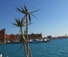 Egypt - North coast - Porto marina