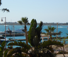 Egypt - North coast - Porto Marina