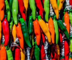 Santa Fe New Mexico Artistic Colors