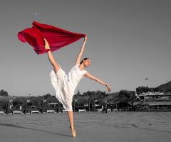 The ballerina