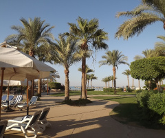 Egypt - Alain alsokhna 