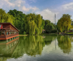 On the lake
