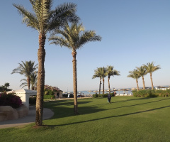 Egypt - Alain alsokhna