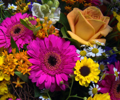 blumenstrauss..