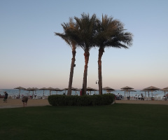 Egypt - Alain alsokhna