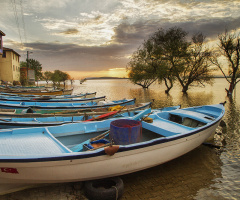 Gölyazı