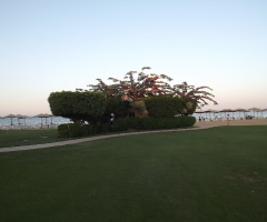 Egypt - Alain alsokhna