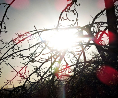 Hope is always there ....