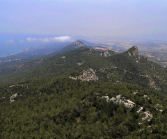 at the top