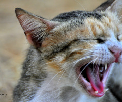 soo tired... good night 