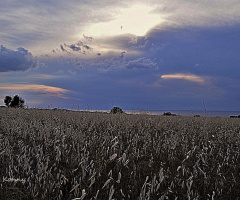 only clouds .. no rain.. :(
