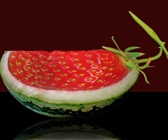 erdbeermelone ;-)