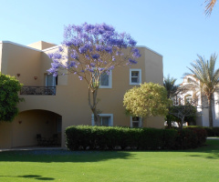 Egypt - Alain alsokhna