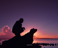 Silhouette