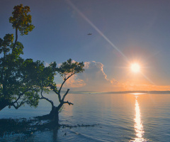 Sunrise