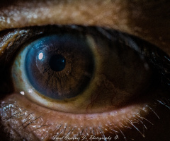 My Macro Eye