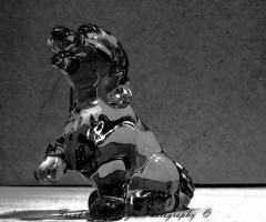 HDR Black and White