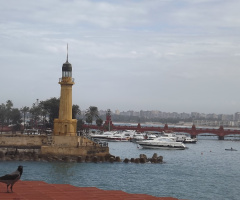 Egypt - alexandria - Almontazah