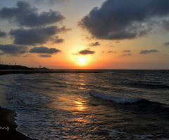 the turtle beach .. Cyprus