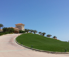 Egypt  - Alzaafarana