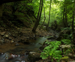Huzur Doğada