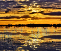 Over the water