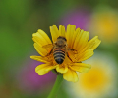 A part of nature