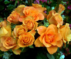 blumenstrauss,,