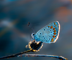 29 eylül 2