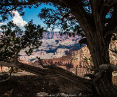 The 'Grandest of Canyons'.  10/16