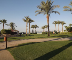 Egypt - Alain alsokhna