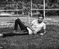 Özgür Hayaller