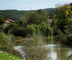 Huzur Doğada