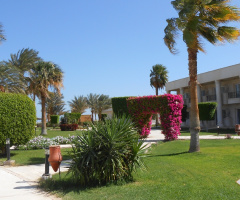 Egypt - Hurghada