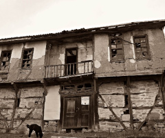 VİRANE