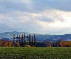 Autumn on the Polish-Czech border