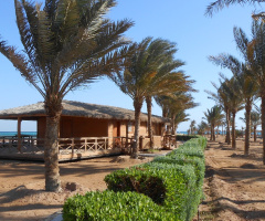 Egypt - Hurghada