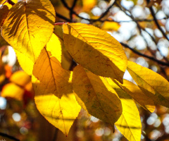 #autumn