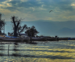 Baskı ile huzur elde edilmez 