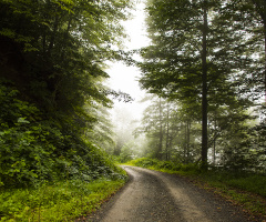 Karadeniz
