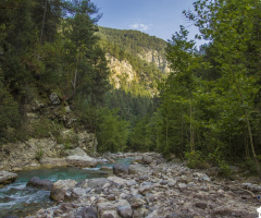 Doğa