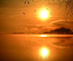 ...morning at the lake