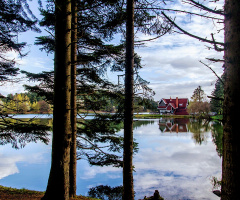 Bolu-GÖLCÜK Doğa Parkı
